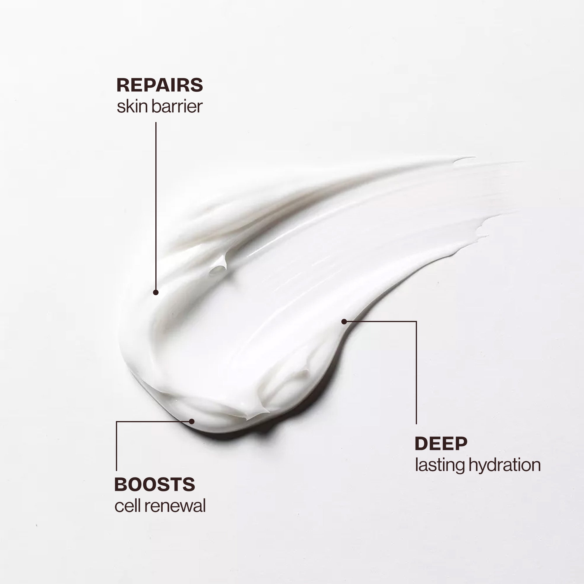 Cell Regenerating Moisturizer