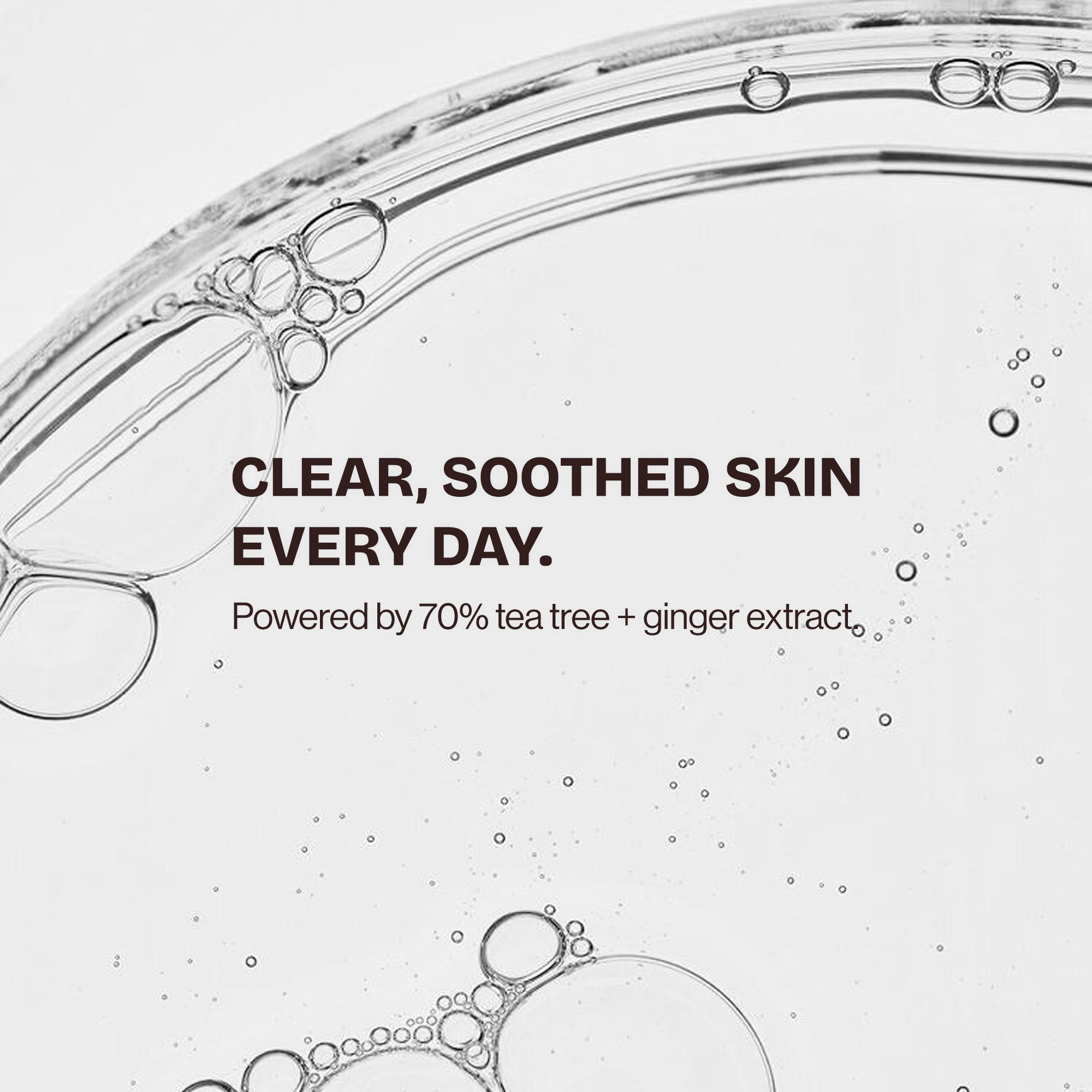 Tea Tree and Ginger 70% Ampoule